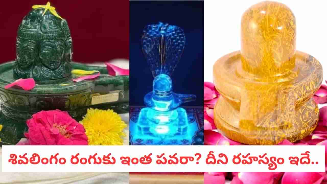 Shivling Color: ఏ రంగు శివలింగం ఇంట్లో ఉంటే అత్యంత శుభప్రదం.. ?