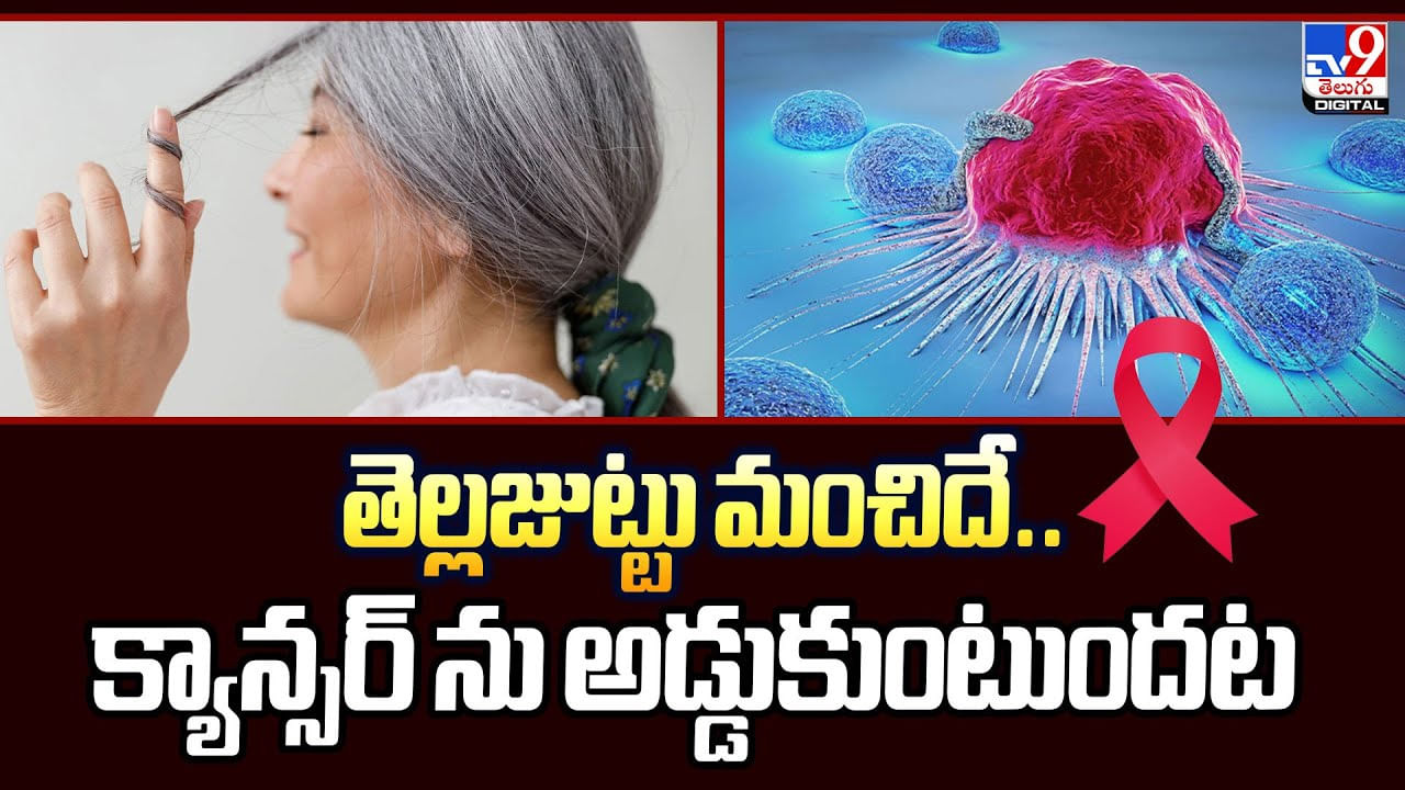 White Hair: తెల్ల జుట్టు మంచిదే.. క్యాన్సర్ ను అడ్డుకుంటుందట White Hair: తెల్ల జుట్టు మంచిదే.. క్యాన్సర్ ను అడ్డుకుంటుందట