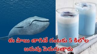 పిల్లలకు ఈ వెన్న పండు తినిపిస్తే ఏమౌతుందో తెలుసా..? హెల్త్‌ బెనిఫిట్స్‌ తెలిస్తే వదిలిపెట్టరు..