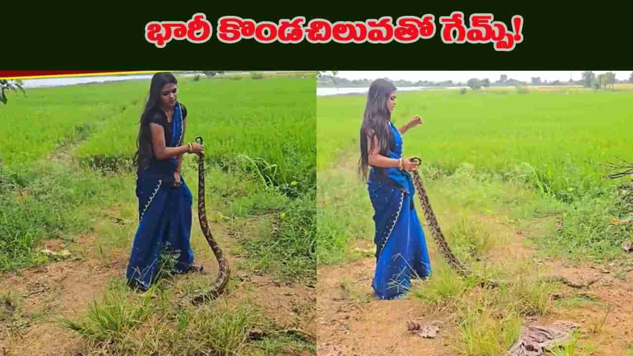ఏం గుండె ధైర్యం రా సామీ.. ఒంటి చేత్తో భారీ ఫైథాన్ను ఒడిసి పట్టిన యువతి..!
