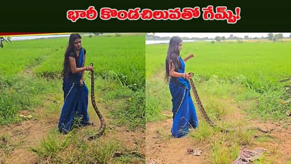 ఏం గుండె ధైర్యం రా సామీ.. ఒంటి చేత్తో భారీ ఫైథాన్ను ఒడిసి పట్టిన యువతి..!