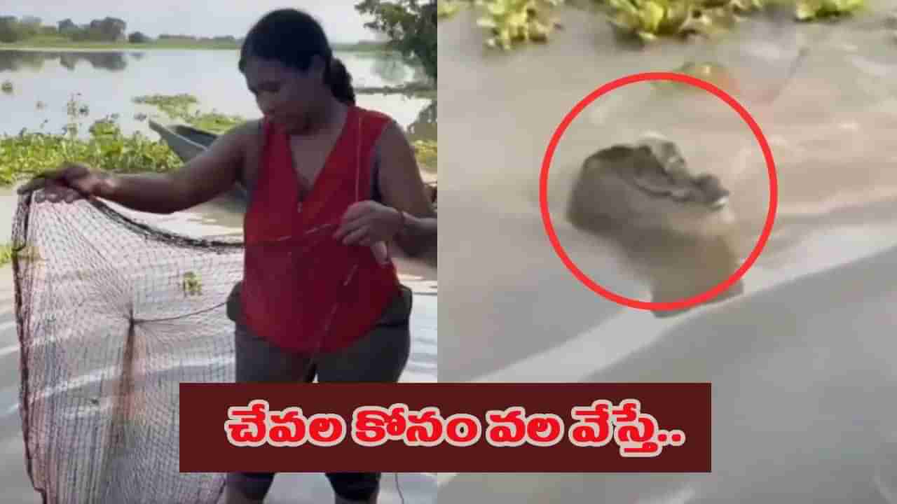 చేపల వేట కోసం వల విసిరిన యువతి.. అక్కడ కనిపించిన సీన్ చూసి జంప్..!