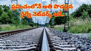 పెళ్లిలో లేడీ డ్యాన్సర్‌ని అసభ్యంగా తాకిన వరుడి మామ..! తరువాత జరిగింది చూడాల్సిందే..!