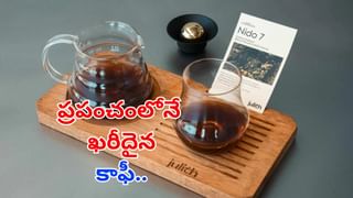Lipstick: లిప్‌స్టిక్ వాడితే క్యాన్సర్.. కిడ్నీ వ్యాధులు వస్తాయా.. అసలు నిజం ఇదే..