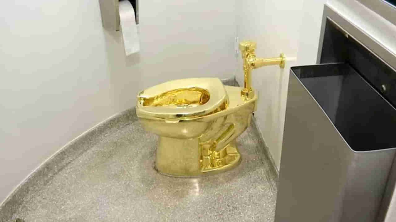 Expensive Toilet: ప్రపంచంలోనే అత్యంత ఖరీదైన టాయిలెట్.. ధర రూ.88 కోట్లు.. ప్రత్యేకత ఏంటి?