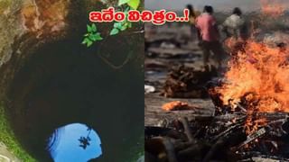 Dog Breeds: చూడ్డానికి బక్కచిక్కిన మేకల్లా ఉన్నాయని మోసపోయేరు.. ఈ డాగ్స్ స్పెషాలిటీ ఇదే..