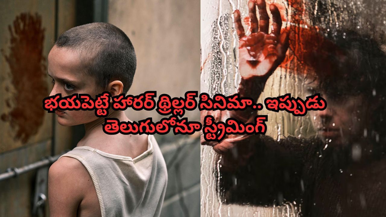 OTT Movie: భయపెట్టే హారర్ థ్రిల్లర్ సినిమా.. ఇప్పుడు తెలుగులోనూ స్ట్రీమింగ్.. ఐఎమ్ డీబీలోనూ 7.1/10 రేటింగ్