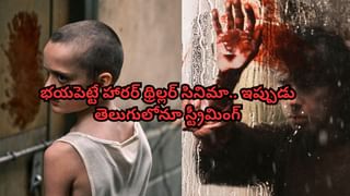 OTT Movies: ఈ వారం ఓటీటీల్లో అద్దిరిపోయే సినిమాలు, సిరీస్‌లు.. ఆ రెండు మాత్రం చాలా స్పెషల్.. అసలు మిస్ అవ్వకండి