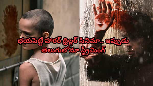 OTT Movie: భయపెట్టే హారర్ థ్రిల్లర్ సినిమా.. ఇప్పుడు తెలుగులోనూ స్ట్రీమింగ్.. ఐఎమ్ డీబీలోనూ 7.1/10 రేటింగ్