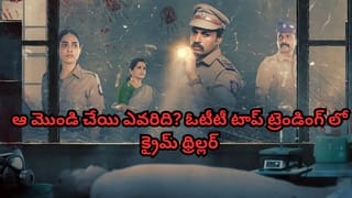 OTT Movie: ఇట్స్ అఫీషియల్.. ఓటీటీలోకి రష్మిక లేటెస్ట్ బ్లాక్ బస్టర్ మూవీ.. స్ట్రీమింగ్ వివరాలివే