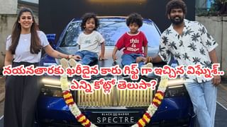 Tollywood: స్టార్ డైరెక్టర్ వారసులు.. ఇప్పుడు టాలీవుడ్ క్రేజీ హీరోలు.. ఈ బ్రదర్స్‌ ఎవరో గుర్తు పట్టారా?