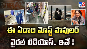 ఈ ఏడాది మోస్ట్‌ పాపులర్‌ వైరల్‌ వీడియోస్‌.. ఇవే వీడియో