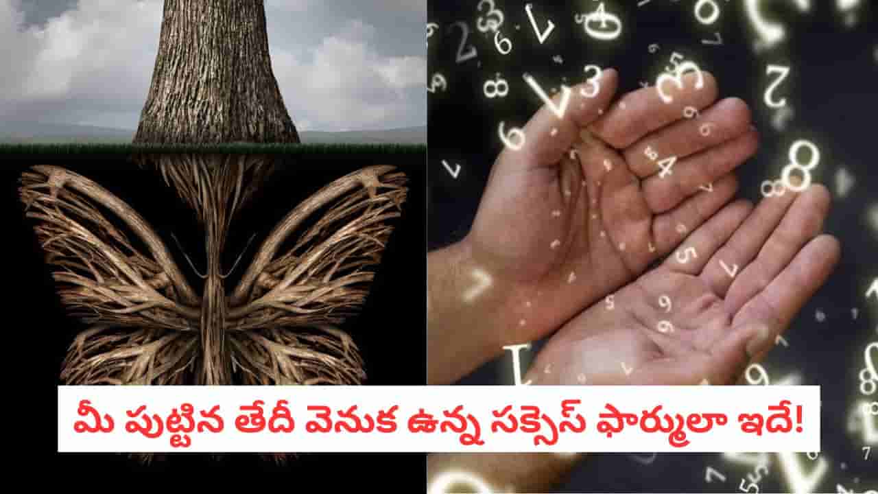 Numerology: 2026లో మీ లక్ష్యాలను చేరుకోవాలా? సంఖ్యాశాస్త్రం ప్రకారం ఈ 1 నిమిషం ట్రిక్ మీ జీవితాన్ని మారుస్తుంది!