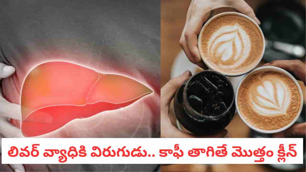 Fatty Liver: ఫ్యాటీ లివర్ పేషెంట్లకు గుడ్ న్యూస్.. ఈ 3 డ్రింక్స్తో లివర్ క్యాన్సర్కు చెక్