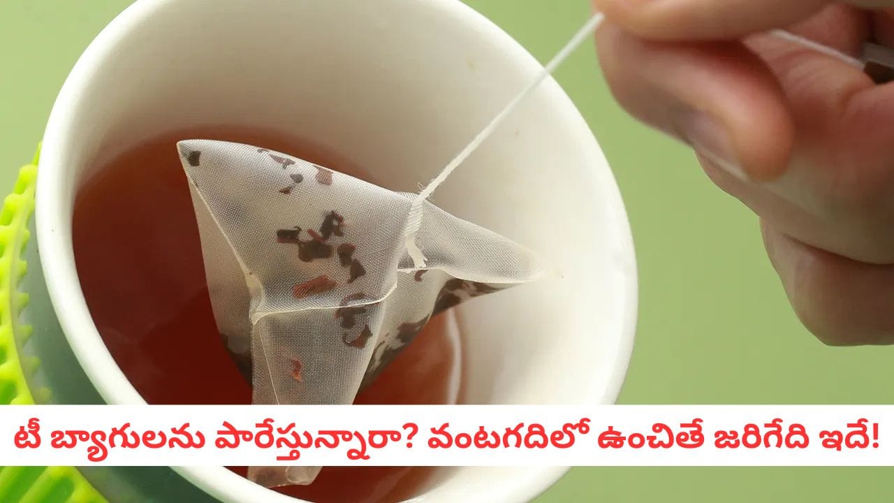 Tea Bag Hacks: టీ బ్యాగులను పారేయకండి! వీటి వల్ల కలిగే 6 అద్భుత ప్రయోజనాలు
