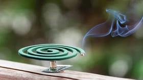 మస్కిటో కాయిల్‌ పెట్టి నిద్రపోయిన తండ్రి.. కాసేపటికే ఘోర విషాదం!