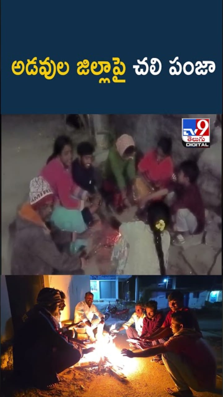 Adilabad: అడవుల జిల్లాపై చలి పంజా.. గజగజ వణికిపోతున్న జనం