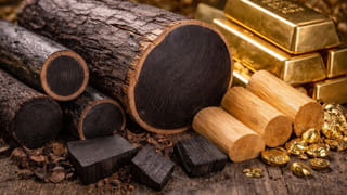 ఈ కర్ర ముందు బంగారం కూడా పనికిరాదు! ప్రపంచంలోనే అత్యంత ఖరీదైన కలప.. ధర తెలిస్తే కళ్లు తిరిగిపోతాయి!