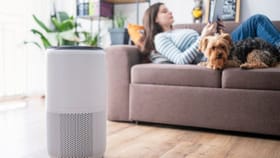 స్వచ్చమైన గాలికోసం ఎయిర్​ ఫ్యూరిఫైయర్లు వాడవచ్చా?