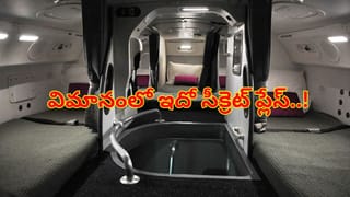 Watch: విమానంలో ప్రయాణికులు వెళ్లలేని రహస్య ప్రదేశం..! అక్కడ ఏముందో తెలిస్తే అవాక్కే..