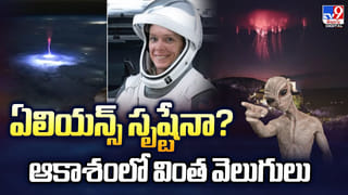 Watch Video: చూస్తుండగానే కుప్పకూలిన.. స్టాచ్యూ ఆఫ్ లిబర్టీ ప్రతిరూపం..