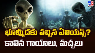 WhatsApp Hack: బీ అలర్ట్..  ఈ సంకేతాలు కనిపిస్తే మీ వాట్సప్ హ్యాక్ అయినట్లే.. వెంటనే జాగ్రత్త పడండి