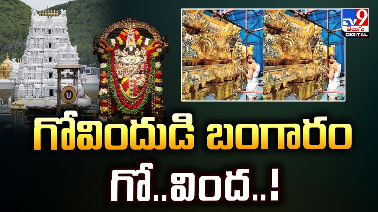 గోవిందుడి బంగారం గో.. వింద వీడియో