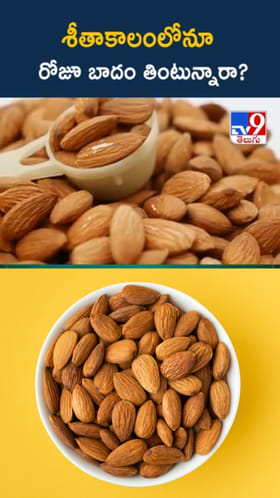 Almonds: శీతాకాలంలో రోజూ బాదం తింటే ఏం జరుగుతుంది?