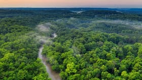 అమెజాన్ నదిపై వంతెనలు లేవని తెలుసా?