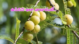 Black garlic: అన్ని రోగాలను హరించే నల్ల వెల్లుల్లి.. ఆరోగ్యానికి మంత్రం వేసినట్టే..!