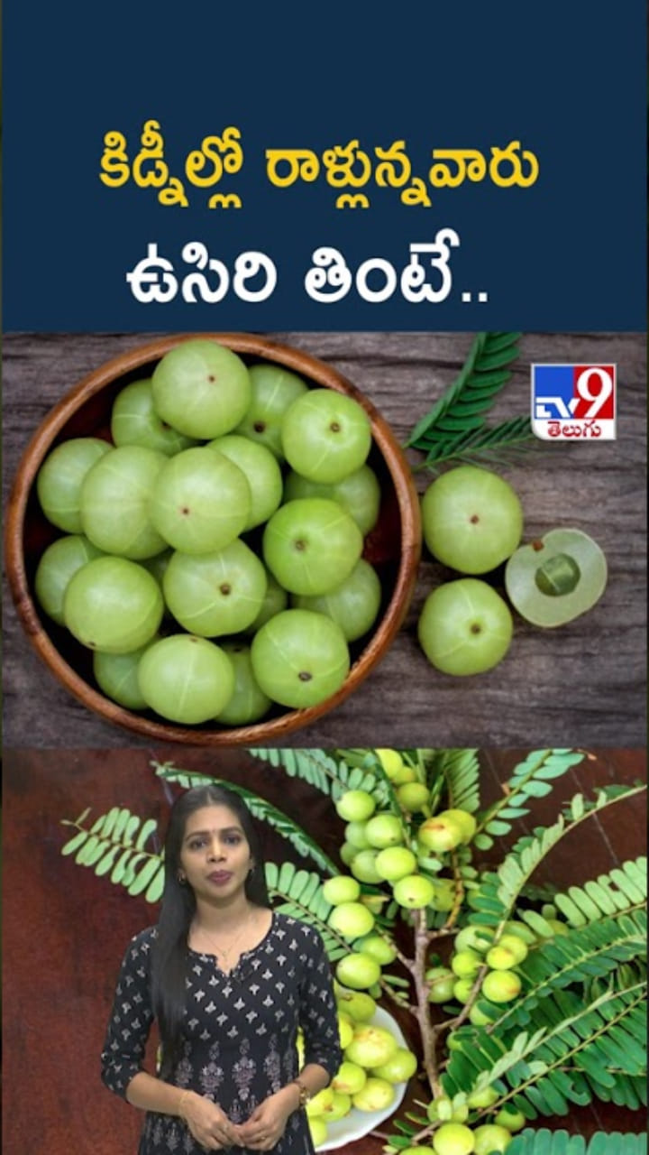 Amla: కిడ్నీల్లో రాళ్లున్న వారు ఉసిరి తింటే ఏమవుతుందో తెలుసా..?