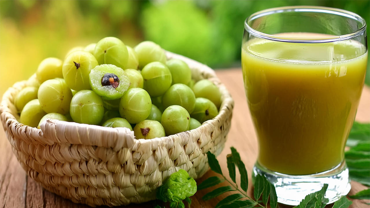 రోగనిరోధక శక్తి: మారుతున్న సీజన్లలో మీరు తరచుగా అనారోగ్యానికి గురైతే, పెరుగుతున్న ఇన్ఫెక్షన్లతో పోరాడటానికి ప్రతిరోజూ ఒక భారతీయ ఉసిరికాయ తినండి. ఇది విటమిన్ సి  మంచి మూలం. క్రమం తప్పకుండా తీసుకోవడం వల్ల శరీర రోగనిరోధక శక్తి బలపడుతుంది.