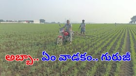 అబ్బా.. ఏం వాడకమయ్యా.. రైతన్న తెలివికి సలాం కొట్టాల్సిందే!