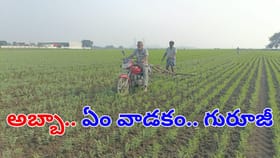 అబ్బా.. ఏం వాడకమయ్యా.. రైతన్న తెలివికి సలాం కొట్టాల్సిందే!