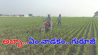Watch Video: అబ్బా.. ఏం వాడకమయ్యా.. రైతన్న తెలివికి సలాం కొట్టాల్సిందే!