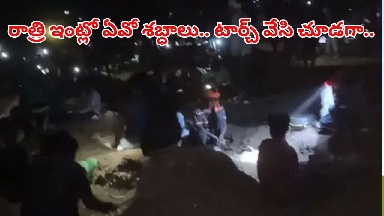 Watch Video: ఇంట్లో రాత్రిపూట అదోరకం శబ్ధాలు.. ఏంటా అని టార్చ్ వేయగా.. వామ్మో..