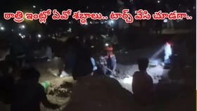 ఇంట్లో రాత్రిపూట అదోరకం శబ్ధాలు.. ఏంటా అని టార్చ్ వేయగా.. వామ్మో
