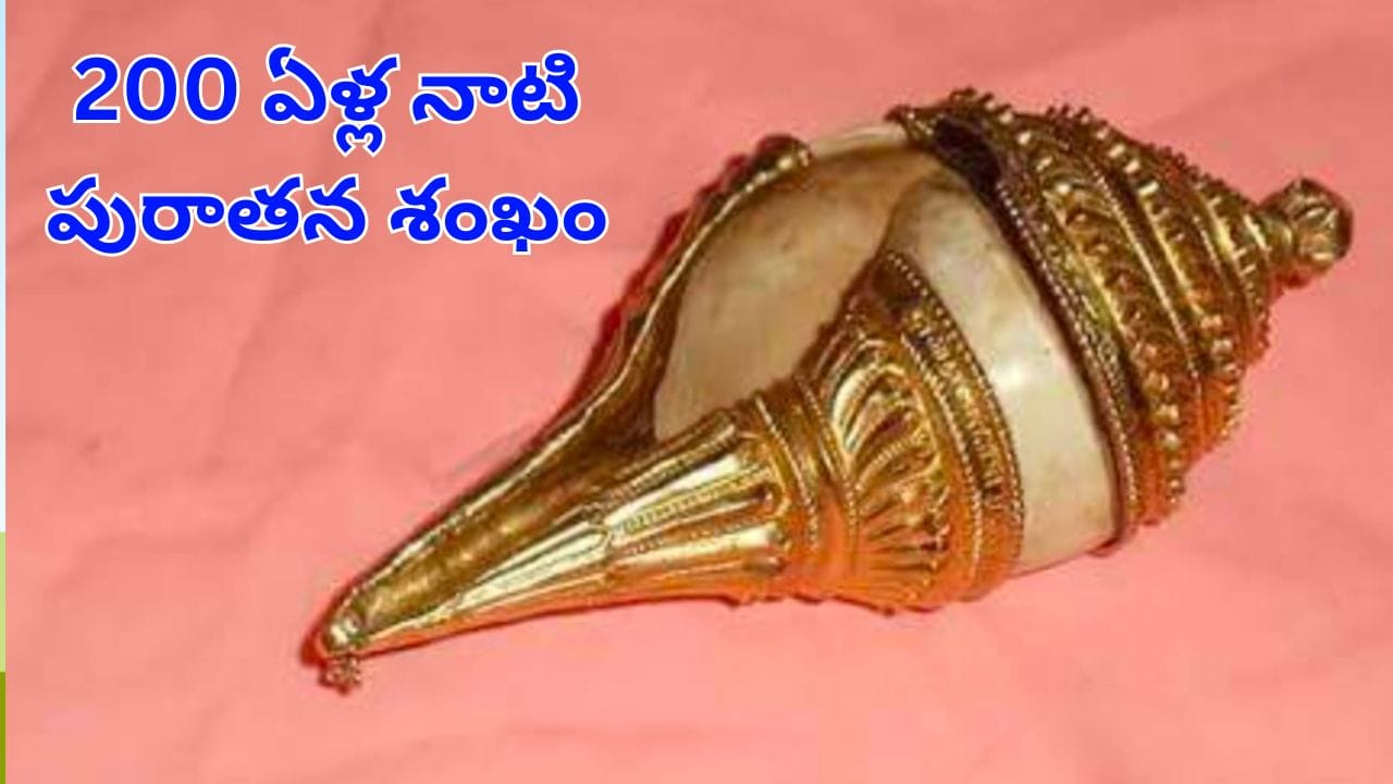 Andhra News: 200 ఏళ్ల నాటి అరుదైన శంఖం.. ఆ ఒక్కరోజు మాత్రమే చూసే అవకాశం.. ప్రత్యేకత ఏంటంటే?