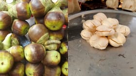 కలికాలం అంటే ఇదే నేమో.. శీతాకాలంలోనూ దర్శనమిస్తున్న వేసలి ఫలాలు