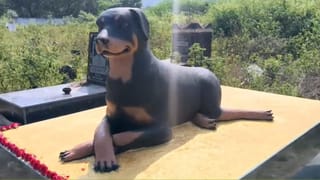 Andhra: పెట్టుబడి కేవలం రూ.4 వేలు..  ఖర్చులన్నీ పోను 35 వేల నికర ఆదాయం