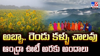 Watch: పూడ్చిపెట్టిన డెడ్‌బాడీ వద్ద సీసీ కెమెరాలు ఏర్పాటు.. ఎందుకో తెలిస్తే అవాక్కే..!