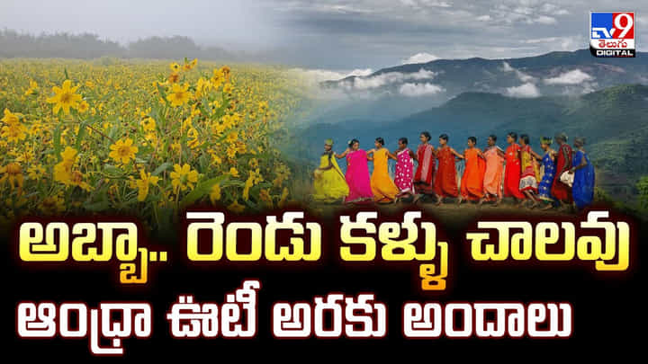 అబ్బా.. రెండు కళ్ళు చాలవు.. ఆంధ్రా ఊటీ అరకు అందాలు అబ్బా.. రెండు కళ్ళు చాలవు.. ఆంధ్రా ఊటీ అరకు అందాలు