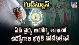 గుడ్‌న్యూస్‌..ఏపీ వైద్య ఆరోగ్య శాఖలో ఉద్యోగాల భర్తీకి నోటిఫికేషన్