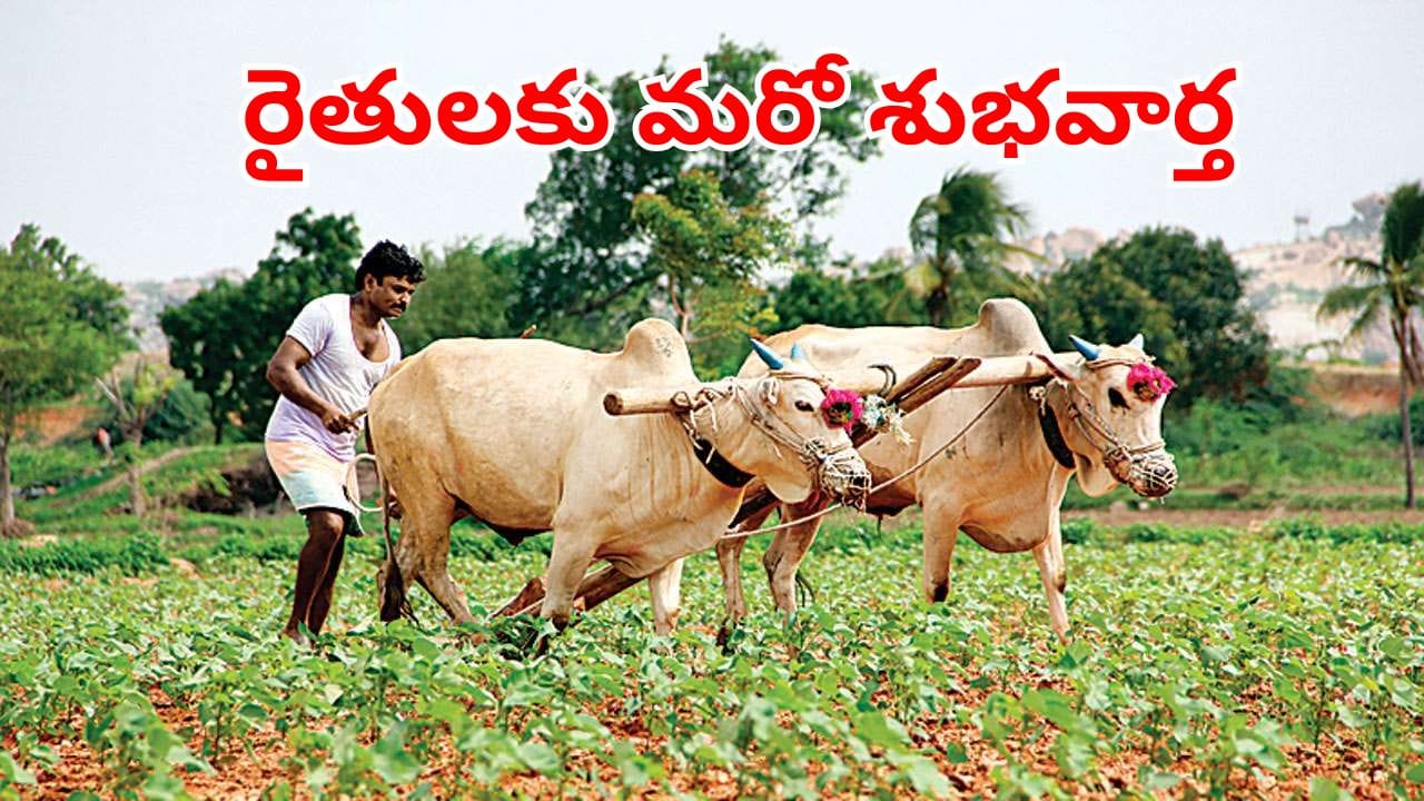 New Year Gift: రైతులకు కొత్త సవంత్సరం కానుక.. సంక్రాంతికి ముందే వాటి పంపిణీకి నిర్ణయం!