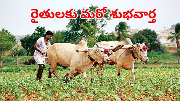 New Year Gift: రైతులకు కొత్త సంవత్సరం కానుక.. సంక్రాంతికి ముందే వాటి పంపిణీకి నిర్ణయం!