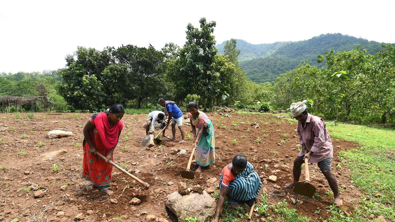 Andhra: ఏపీలోని గిరిజన ప్రాంతాల ప్రజలకు గుడ్ న్యూస్..