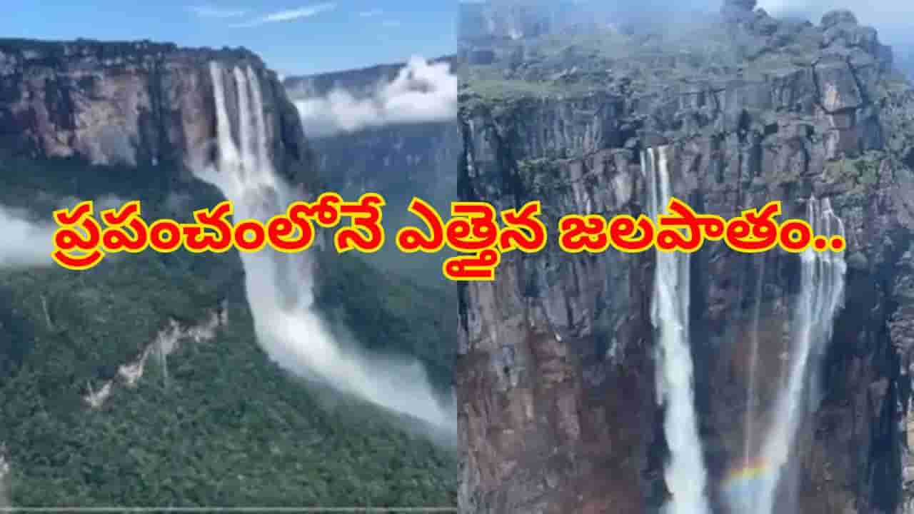 ప్రపంచంలోనే ఎత్తైన జలపాతం.. ఆకాశం నుండి చూస్తే ఎలా ఉంటుందో తెలుసా..? వీడియో వైరల్
