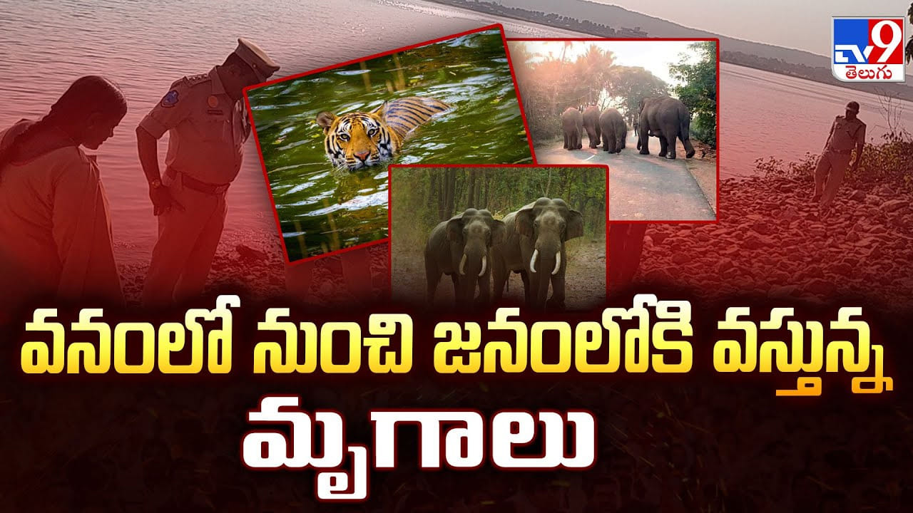 వనంలో నుంచి జనంలోకి వస్తున్న మృగాలు