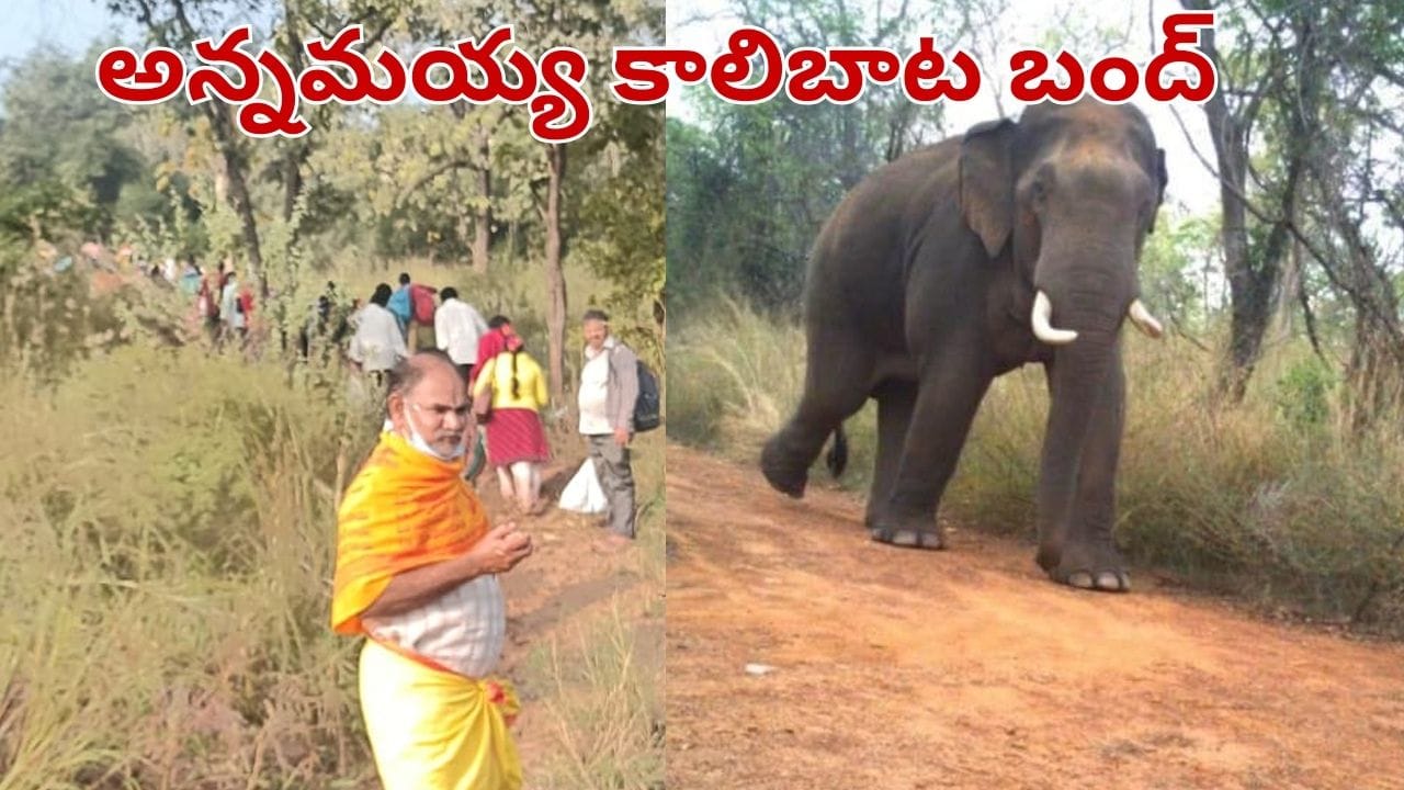 Andhra Pradesh: 600 ఏళ్ల చరిత్ర.. అన్నమయ్య కాలిబాట మూసివేతకు అసలు కారణం ఏంటో తెలుసా..?