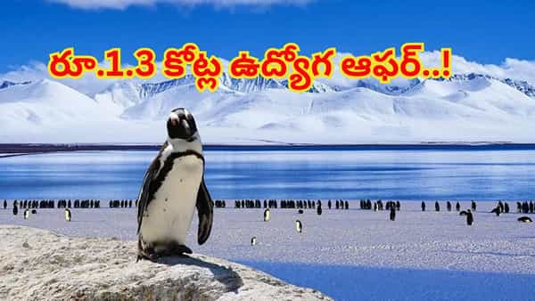 Viral Post: రూ.1.3 కోట్లతో ఆరు నెలల ఉద్యోగ ఆఫర్..! కానీ, ట్విస్ట్ ఏంటంటే..